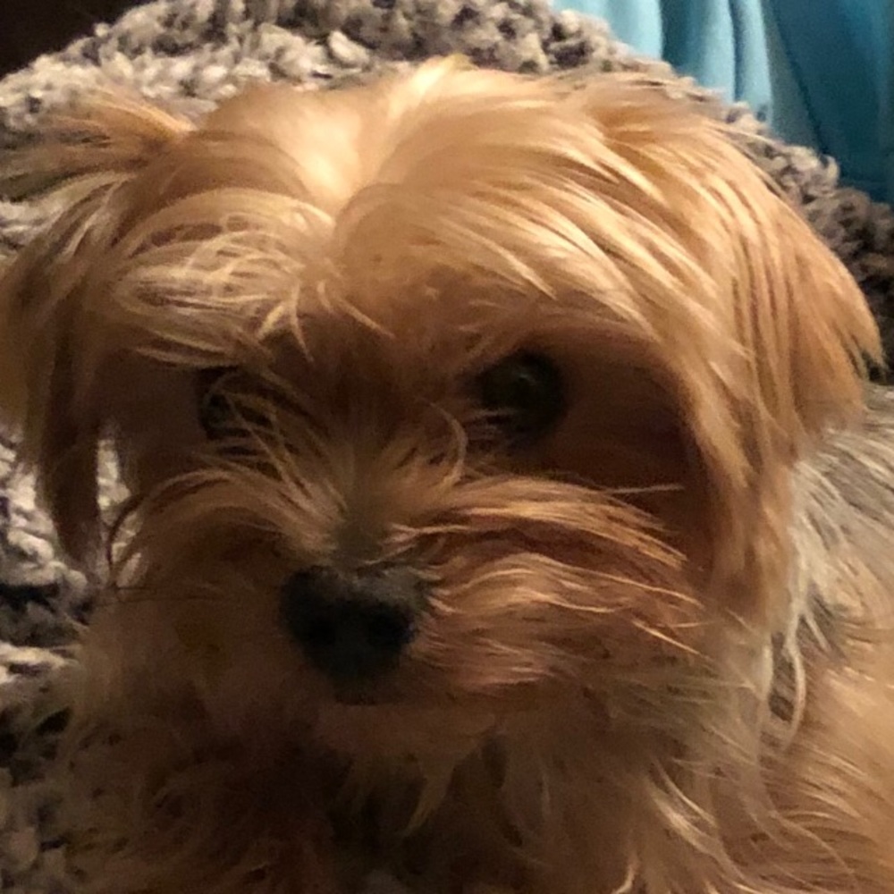 Meet your Posher, Marie